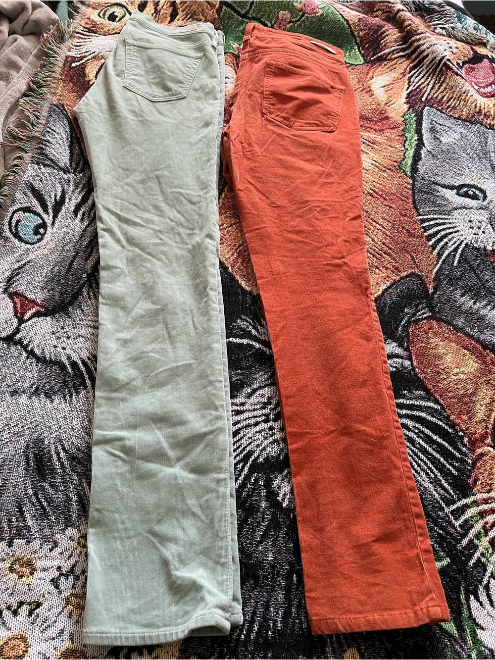 Corduroy Pants in Sage Green and Rust - Classic Casual Fit - Picture 2 of 12
